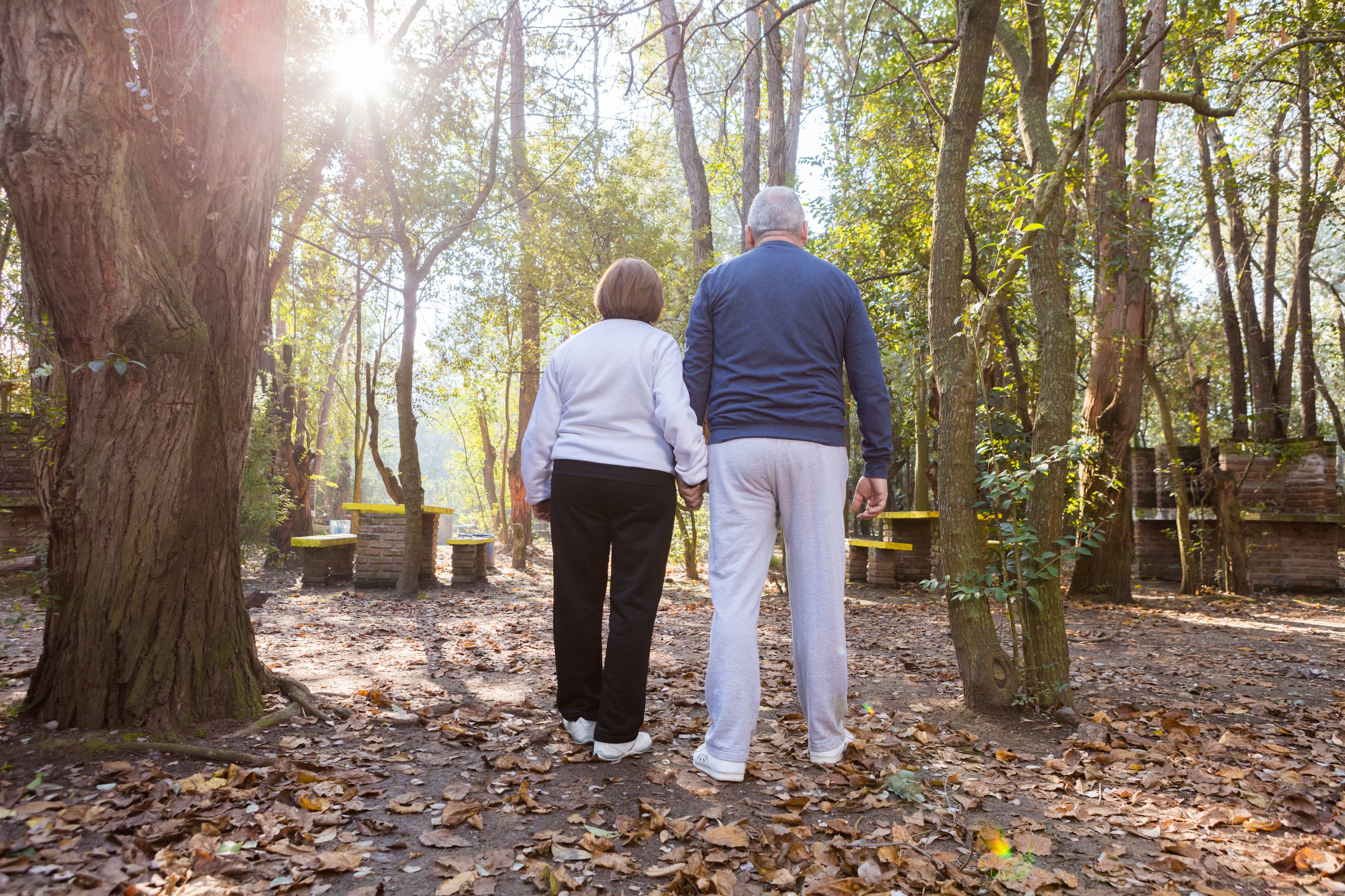 Enhancing Lives: Elderly